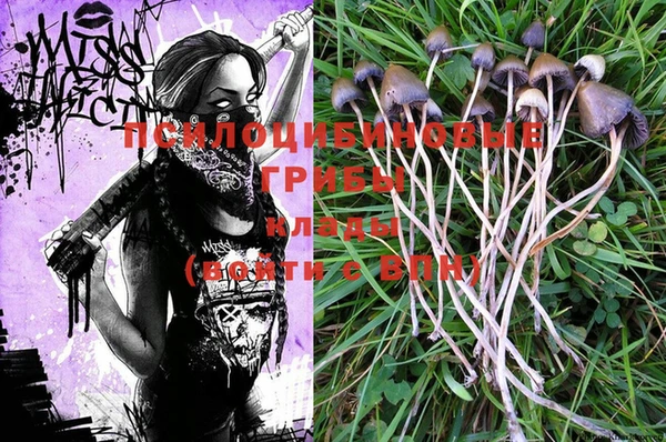 PSILOCYBIN Осинники