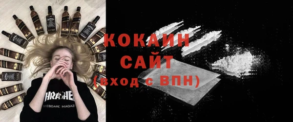 шишки Нязепетровск