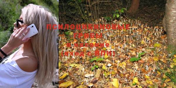 PSILOCYBIN Осинники