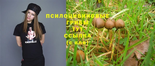 гидропоника Сатка
